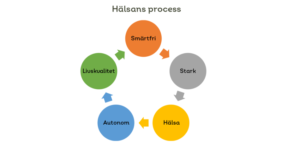 fem cirklar i animation